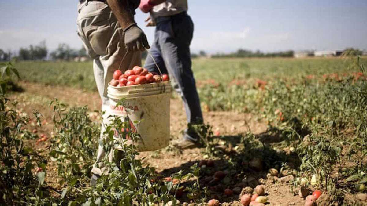 Immagine di I tabù delle imprese sull’immigrazione