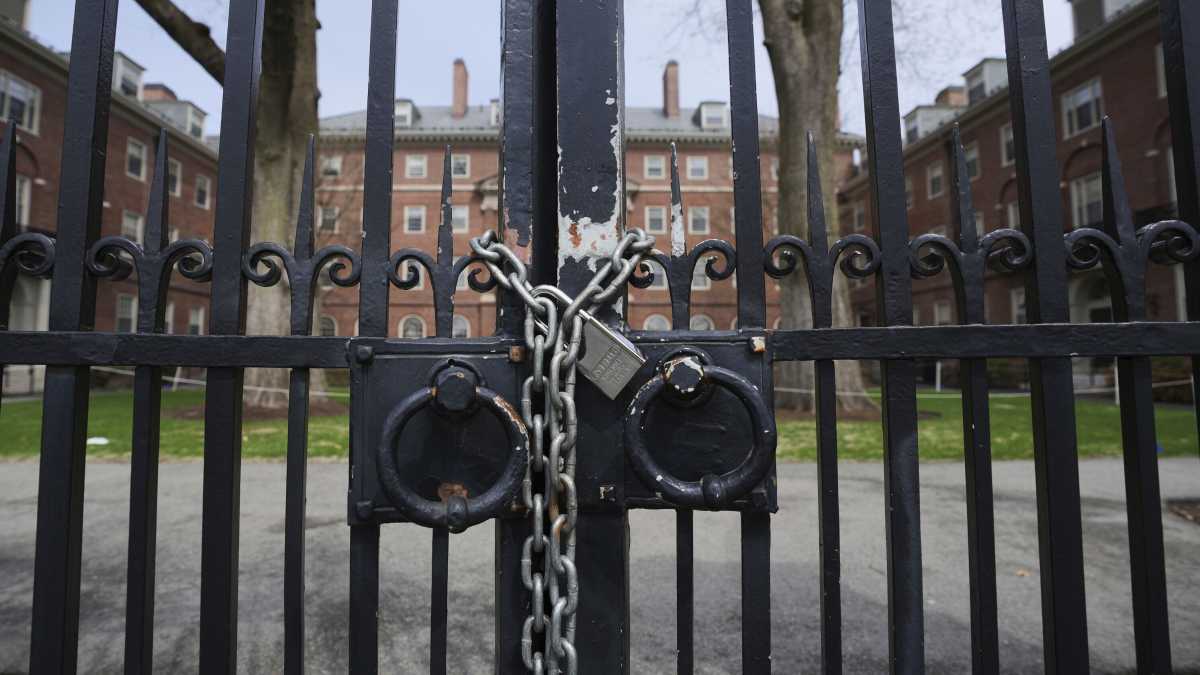 Immagine di Il ban di Trump agli studenti esteri di Harvard è antieconomico: blocca l’esportazione di servizi