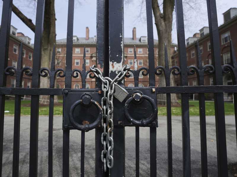Il ban di Trump agli studenti esteri di Harvard è antieconomico: blocca l’esportazione di servizi