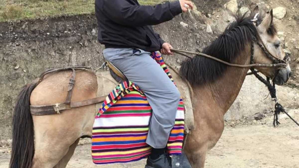 Immagine di Allora vale anche Leone Di Lernia?