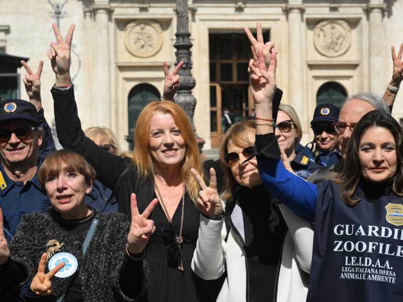 La schizofrenia punitiva del centrodestra colpisce anche i reati contro gli animali