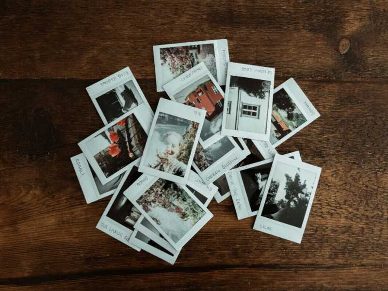 Foto di Annie Spratt su Unsplash <br />
