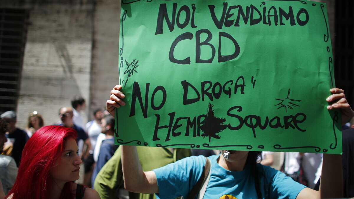 Immagine di EasyJoint e la sentenza sulla cannabis light che sconfessa il decreto Sicurezza