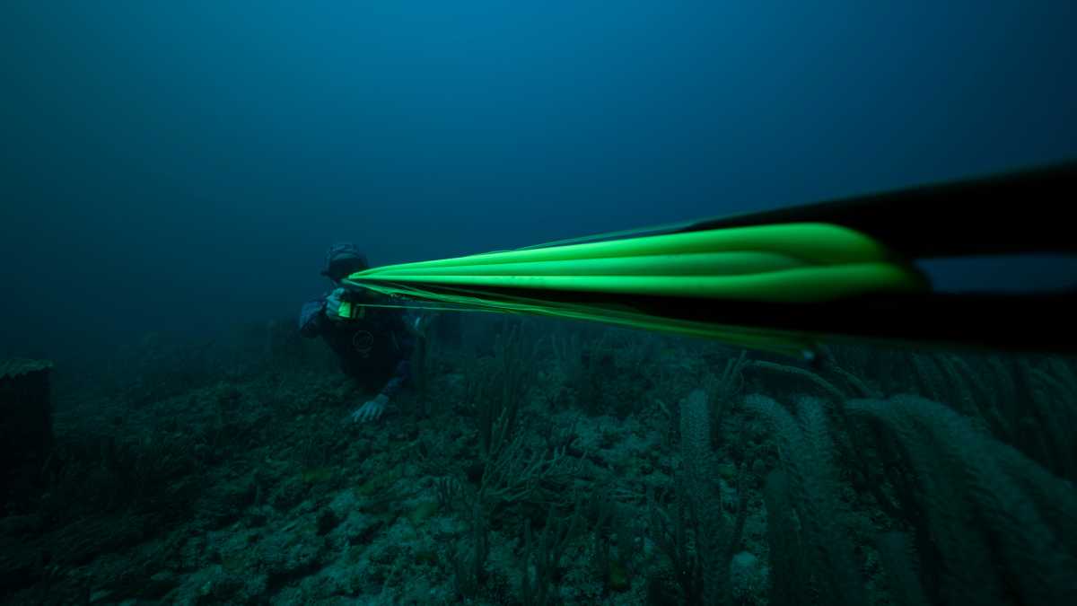 Immagine di Il cuore di tenebra in fondo all’oceano