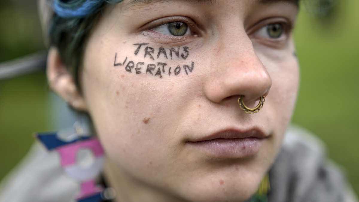 Immagine di Desistere dal gender. Diario di Rebecca