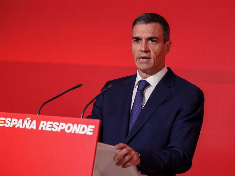 Pedro Sánchez (Ansa)