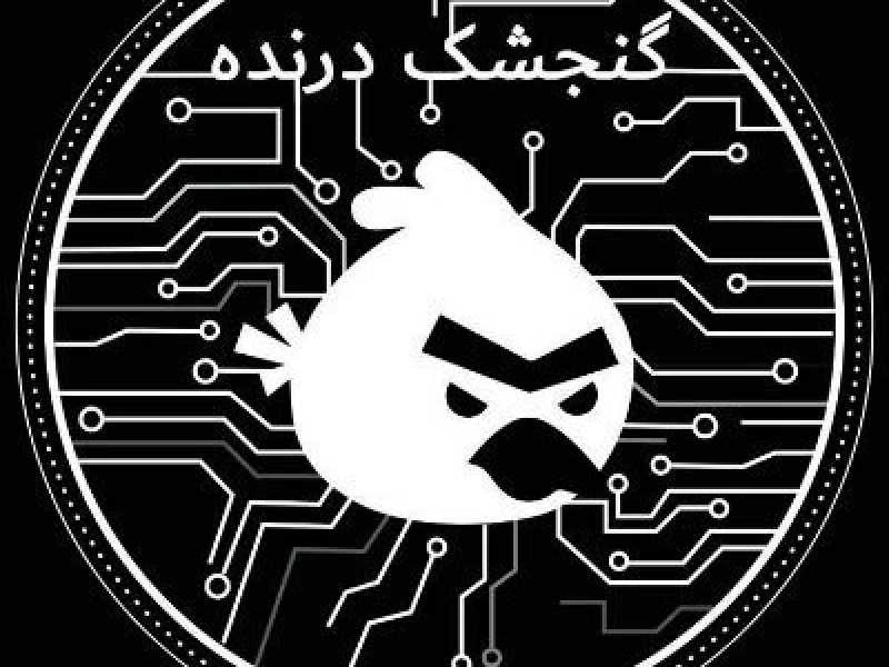 Gli attacchi “hacktivisti” del “passero predatore” che puntano a Khamenei