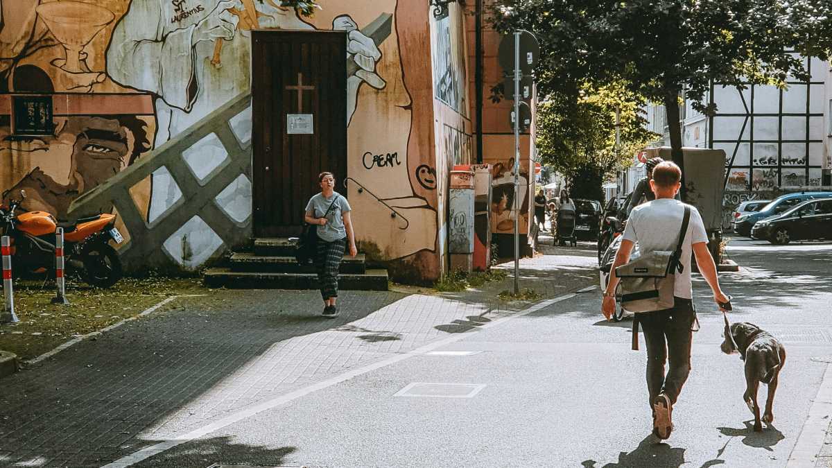Immagine di Quindi è questa l’estate, tra cornetti impazziti e cani nascosti