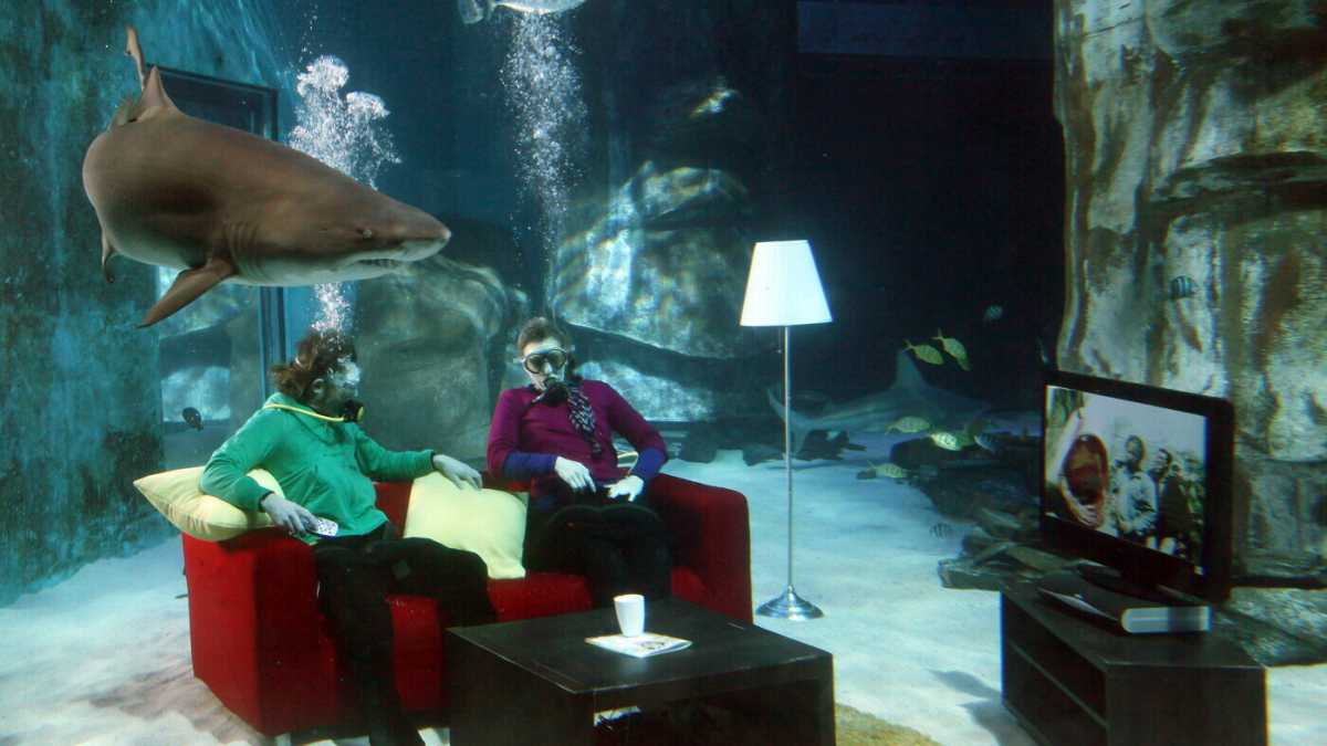 Immagine di Lo Squalo a cinquant'anni dalla sua uscita continua a terrorizzare e affascinare gli spettatori