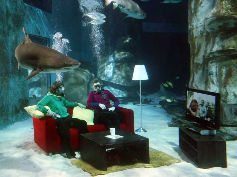 Sky Movies Premier promuove la prima proiezione in assoluto di "Lo Squalo" di Spielberg in HD al London Aquarium (Gareth J Davies/Getty Images) <br />