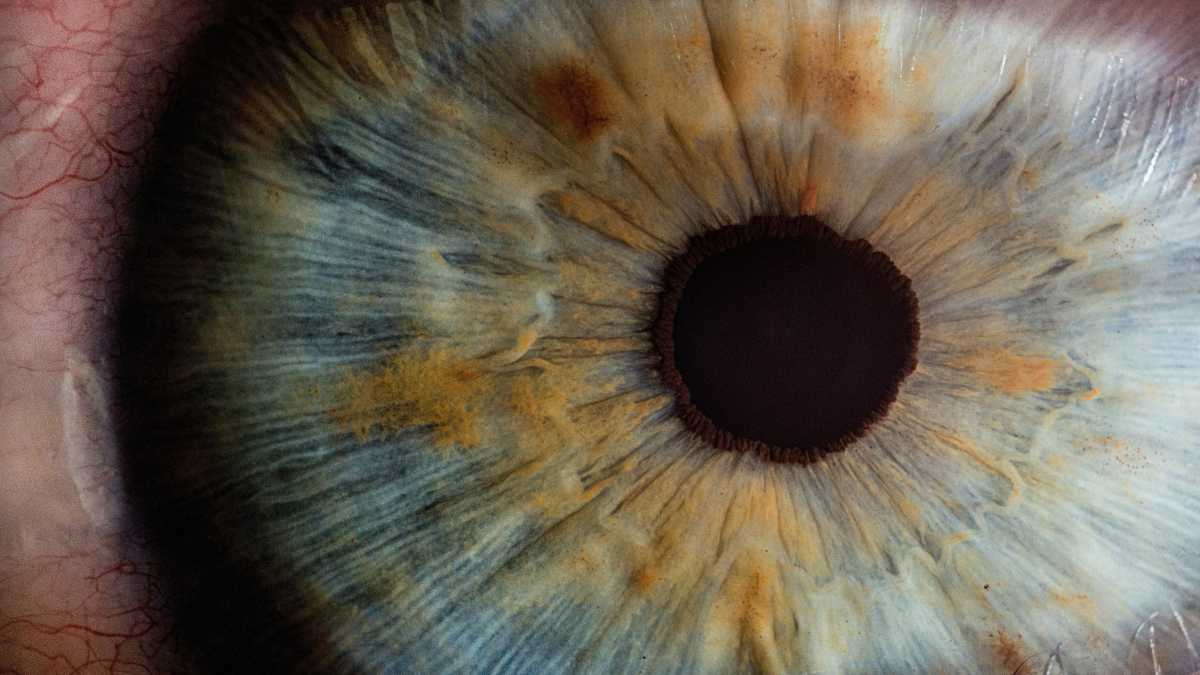 Immagine di Non esiste un'universalità nel vedere e nel comprendere le cose. Così la cultura influenza la mente