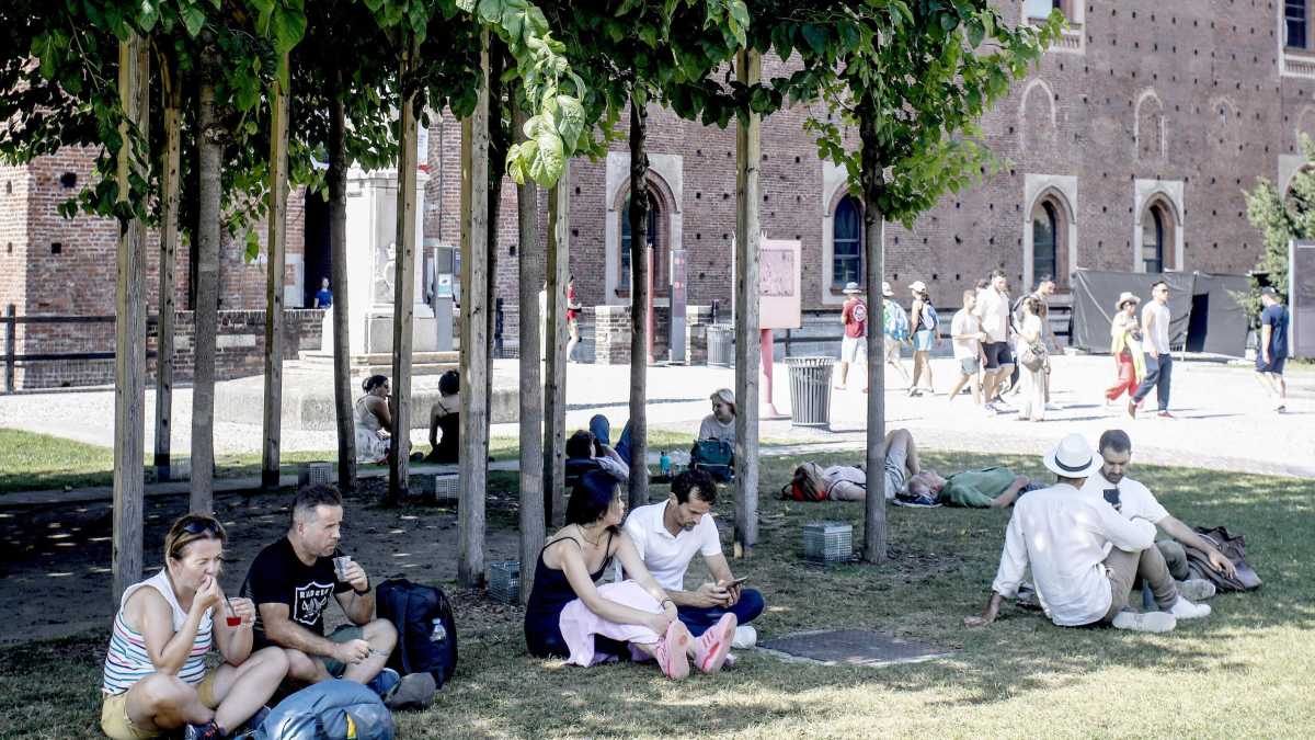 Immagine di Il Garante del verde dice che il comune di Milano deve piantare alberi. Invece pianta i sassi