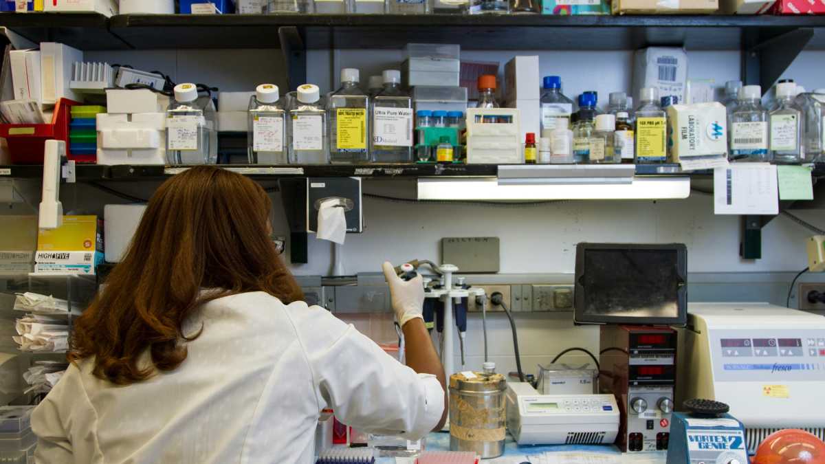 Immagine di È assurdo che la libertà della scienza venga difesa dall'autorità religiosa e non dalle istituzioni laiche