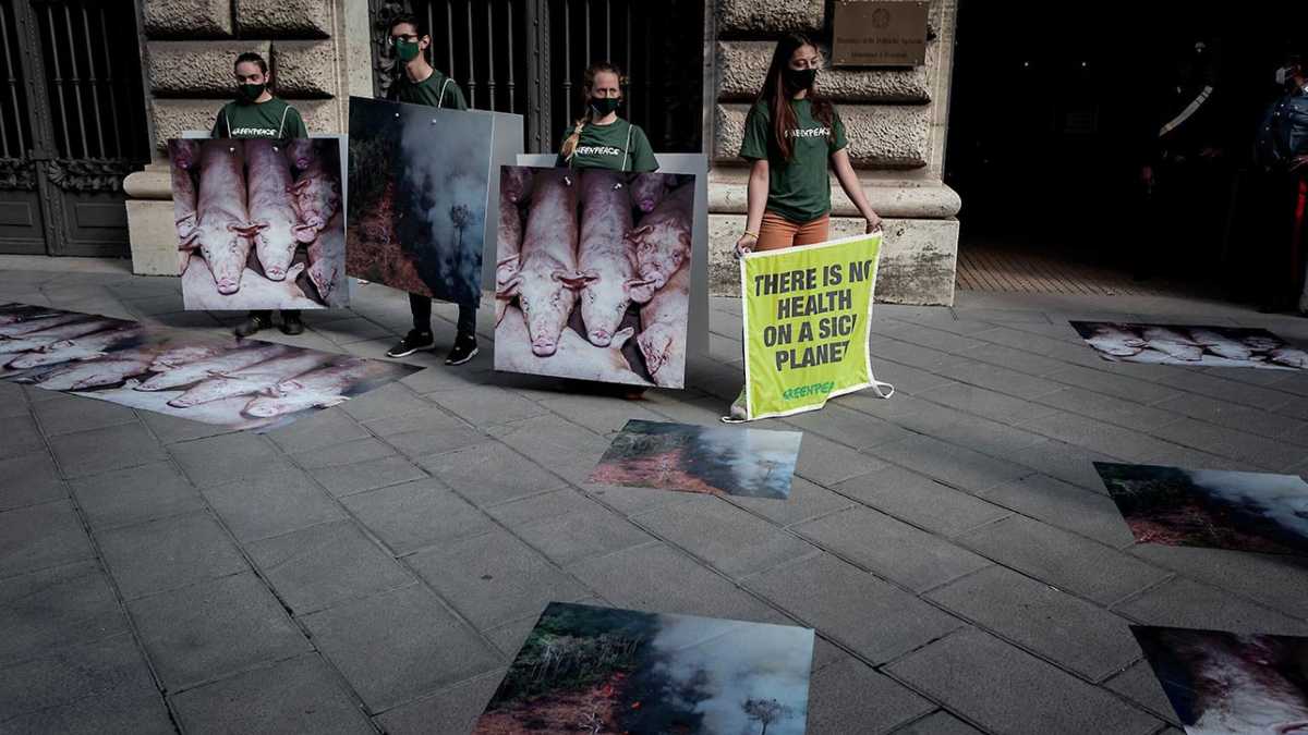 Immagine di Chi è contro gli allevamenti intensivi non fa un uso intensivo del cervello