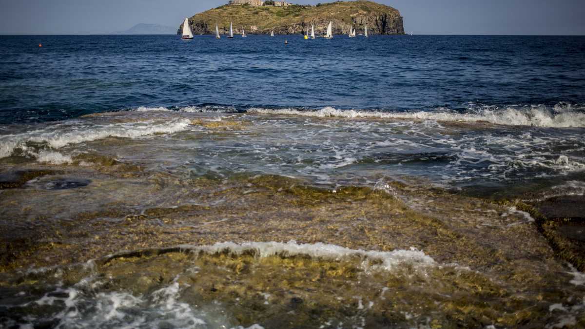 Immagine di Il tempo è un’isola
