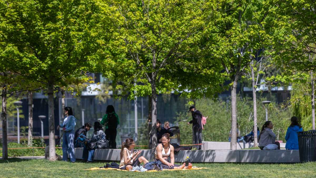 Immagine di Le aree verdi in città sono utili contro il caldo. Ma il progetto del comune di Bologna non funziona