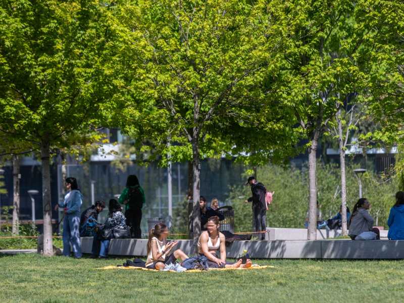 Le aree verdi in città sono utili contro il caldo. Ma il progetto del comune di Bologna non funziona