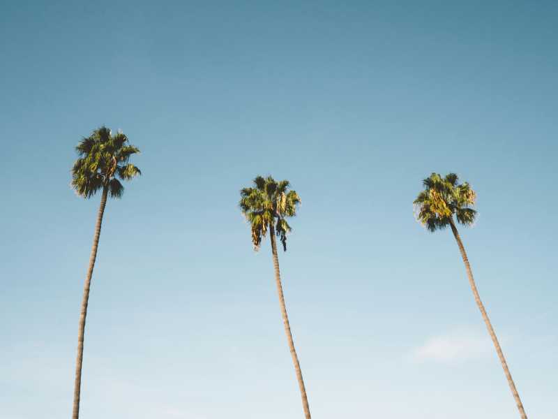 foto Unsplash