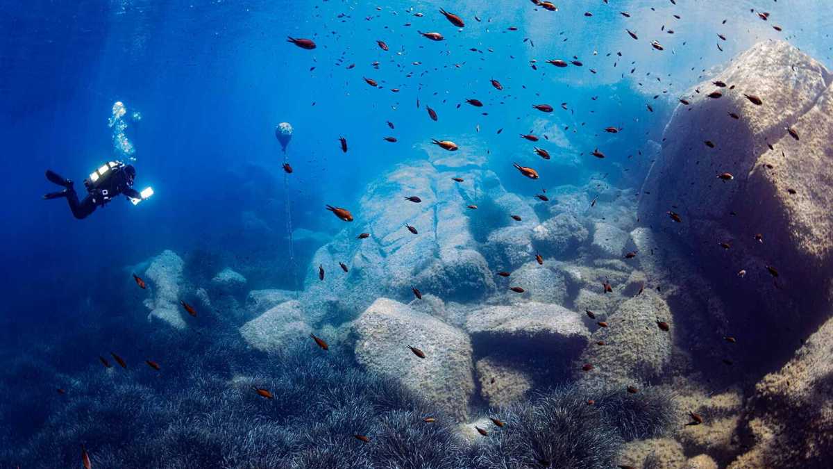 Immagine di L’Adriatico, mare della mutazione, visto da 38 autori