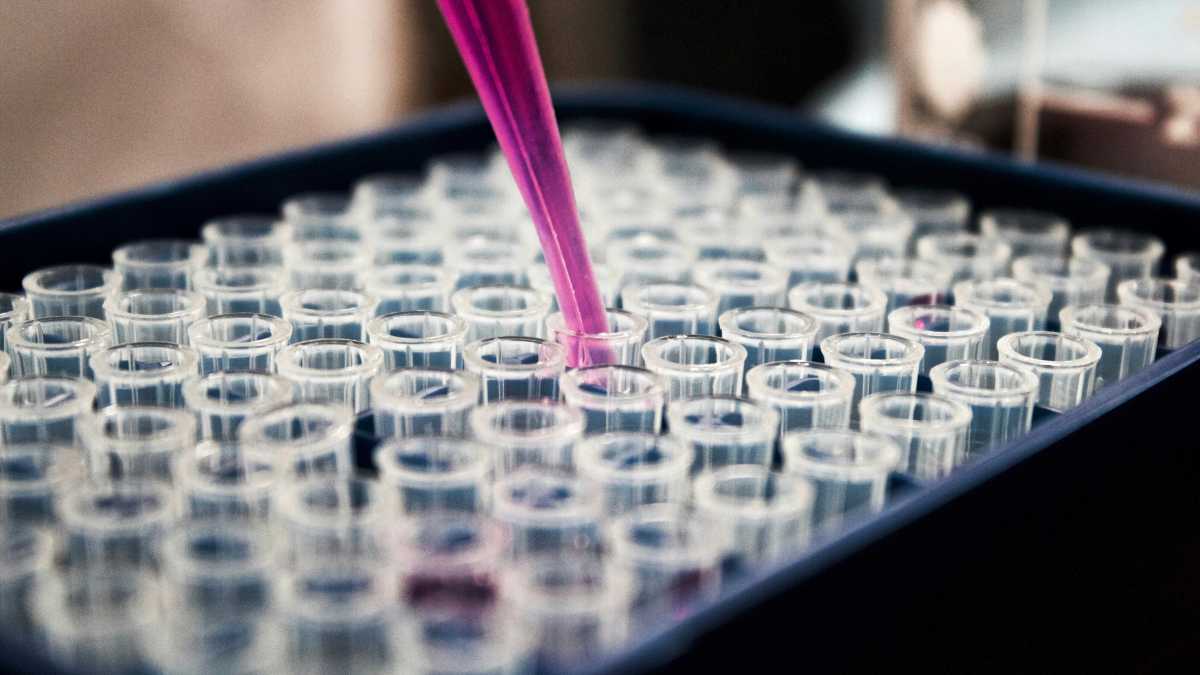 Immagine di Forse c’è chi invidia gli ebrei al punto da boicottarne la scienza