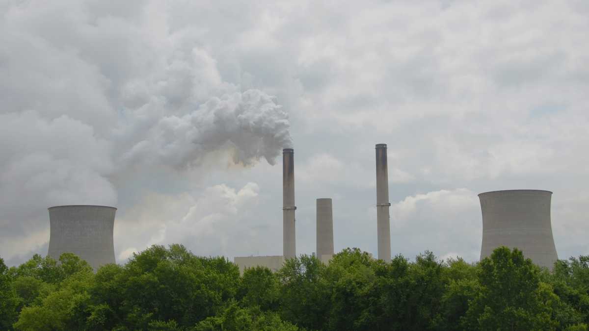 Immagine di Chiari esempi di danni ambientali causati dal solito bigottismo climatico
