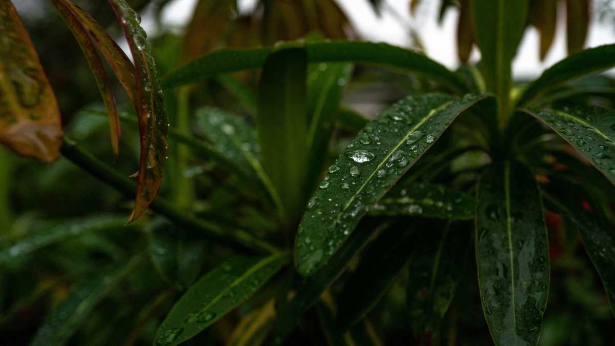 Immagine di La petizione valdostana sull'acqua informata