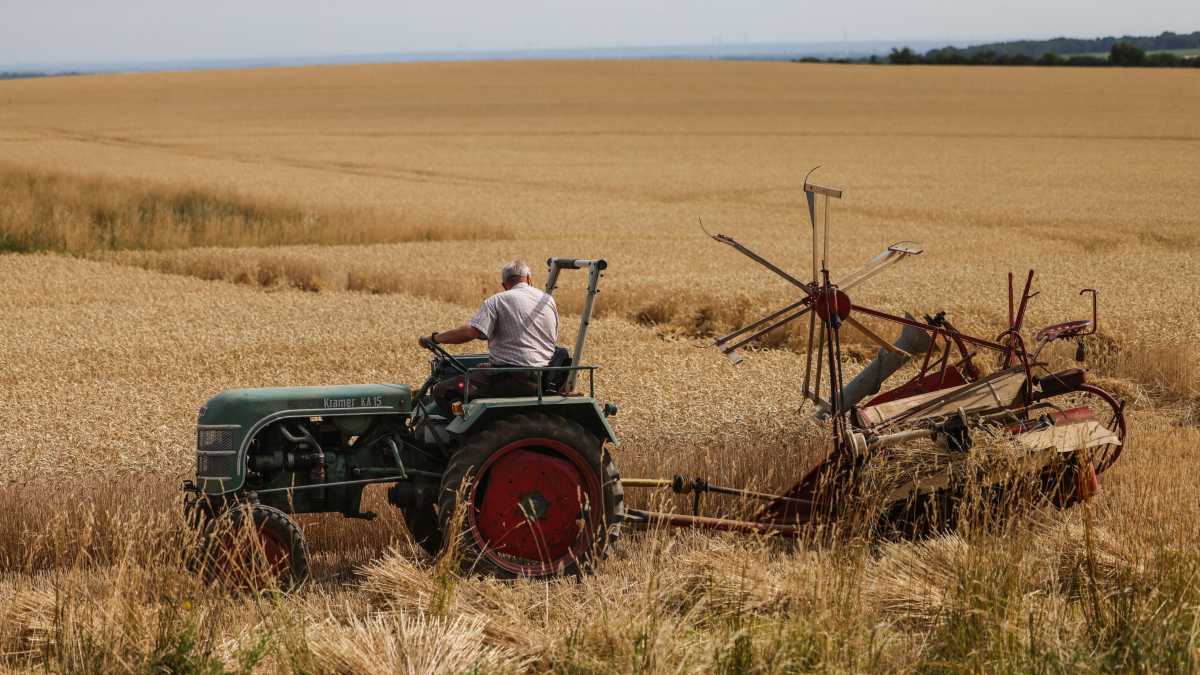 Immagine di Il silenzio assordante dello IAR sull’“acqua informata”