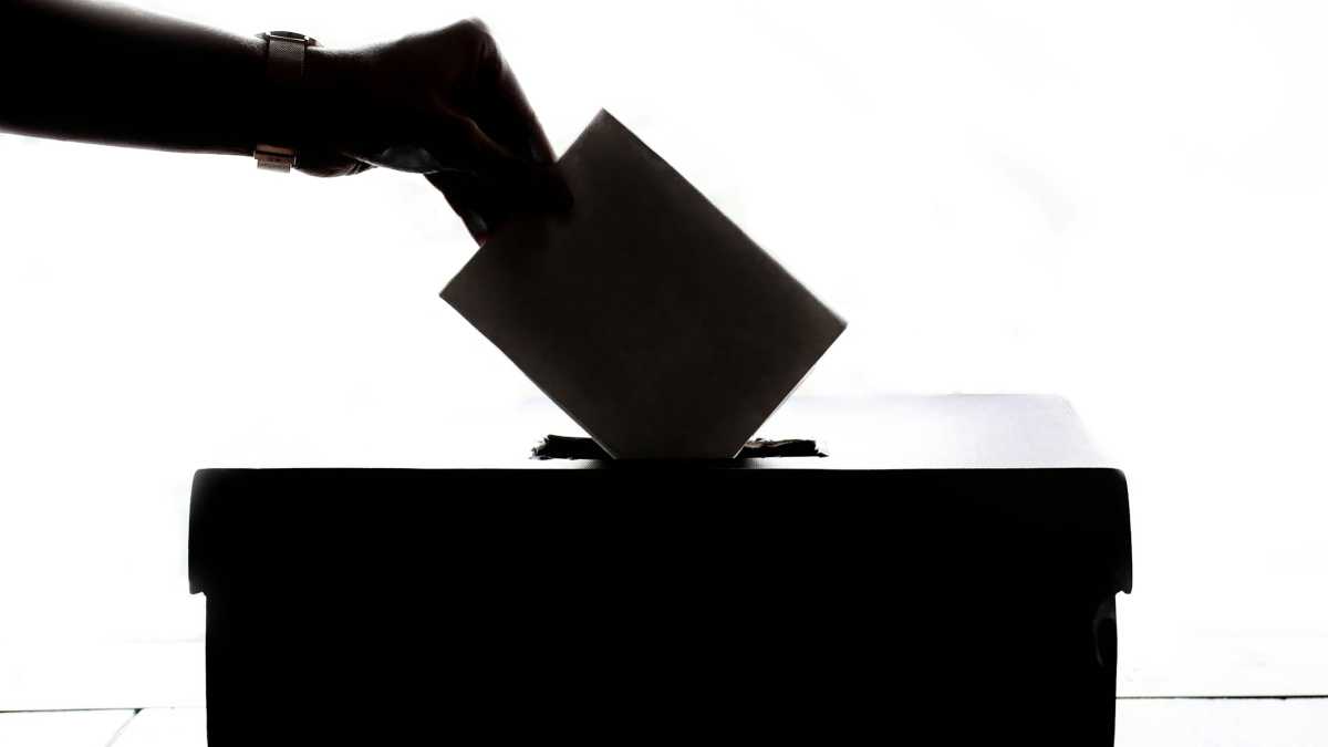 Immagine di Alle elezioni dovrebbero votare solo i sedicenni
