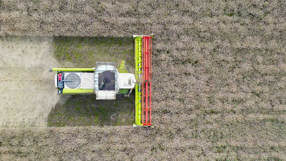 Immagine di Lo Iar finalmente rompe il silenzio sull'acqua informata