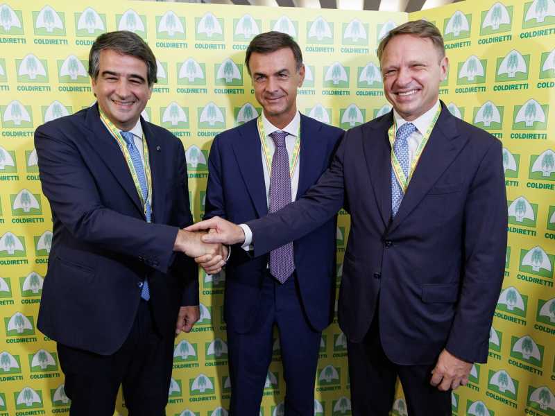 Perché Fitto spinge il governo a una svolta rapida sul Mercosur