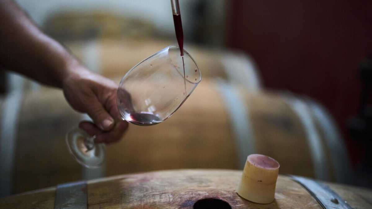 Immagine di "Dazi? La partita è aperta", dice Angelo Gaja. Viaggio tra paure e speranze del vino