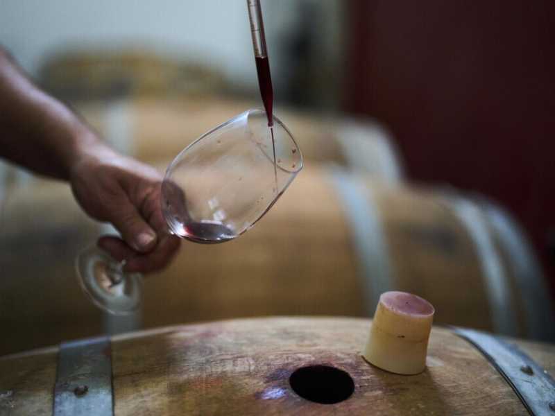 "Dazi? La partita è aperta", dice Angelo Gaja. Viaggio tra paure e speranze del vino