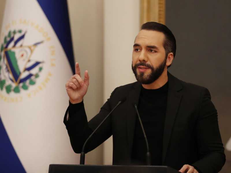 Nayib Bukele (Ansa)<br />