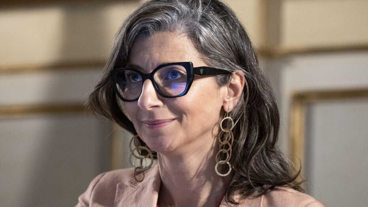 Immagine di I somari di Francesca Albanese