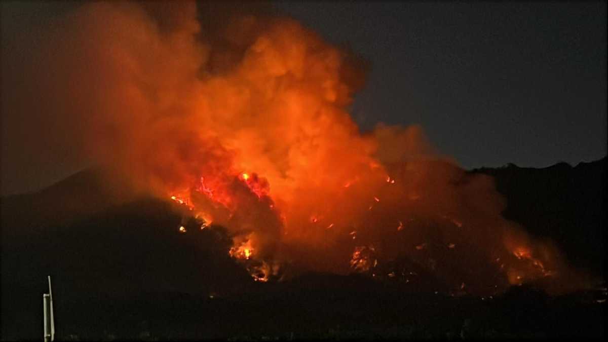 Immagine di Da Messina al Vesuvio, lo show dei non competenti