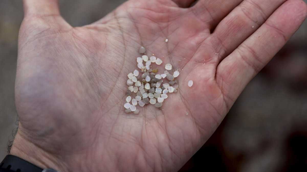 Immagine di Microplastiche dappertutto. Come rispondere a un’invasione silente