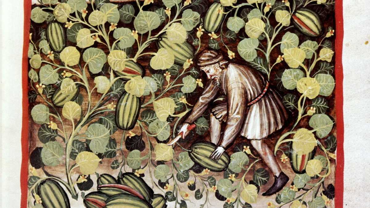 Immagine di Cocomeri armati. Storie e guerre del re dei frutti
