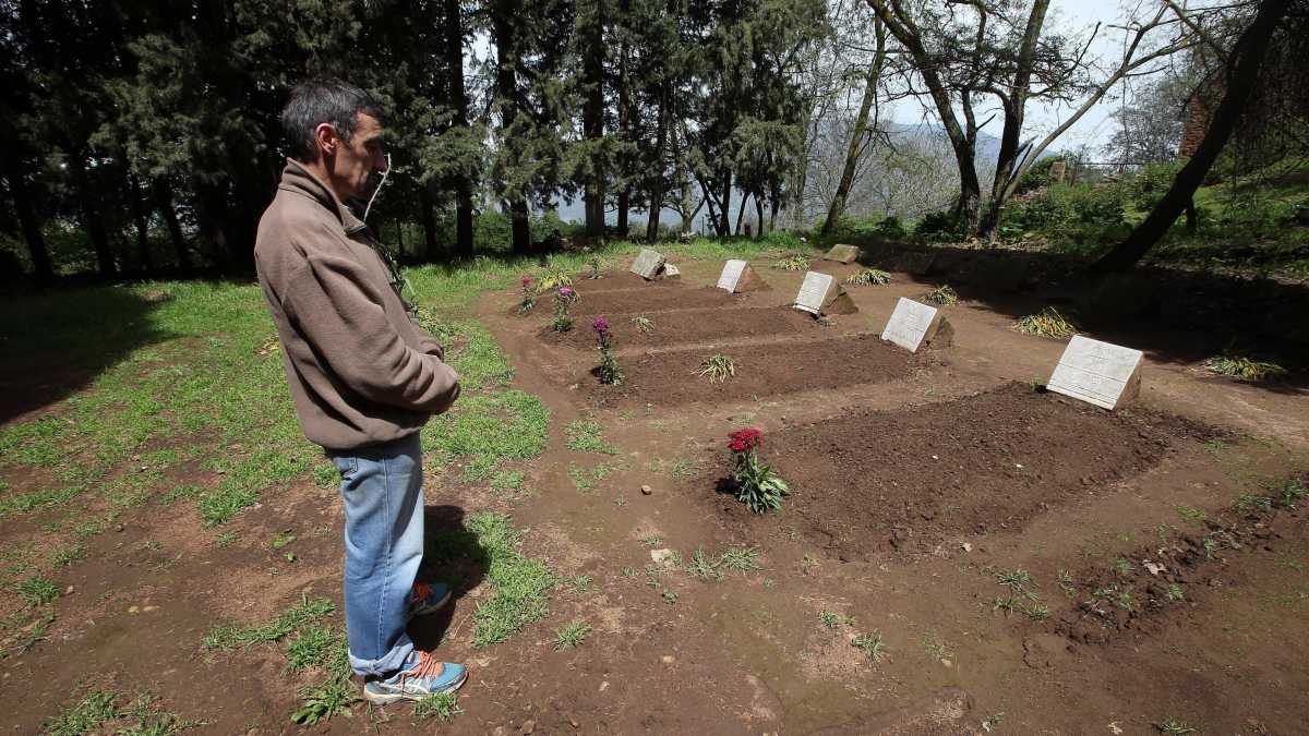 Immagine di Papa Leone XIV e la testimonianza dei martiri di Algeria