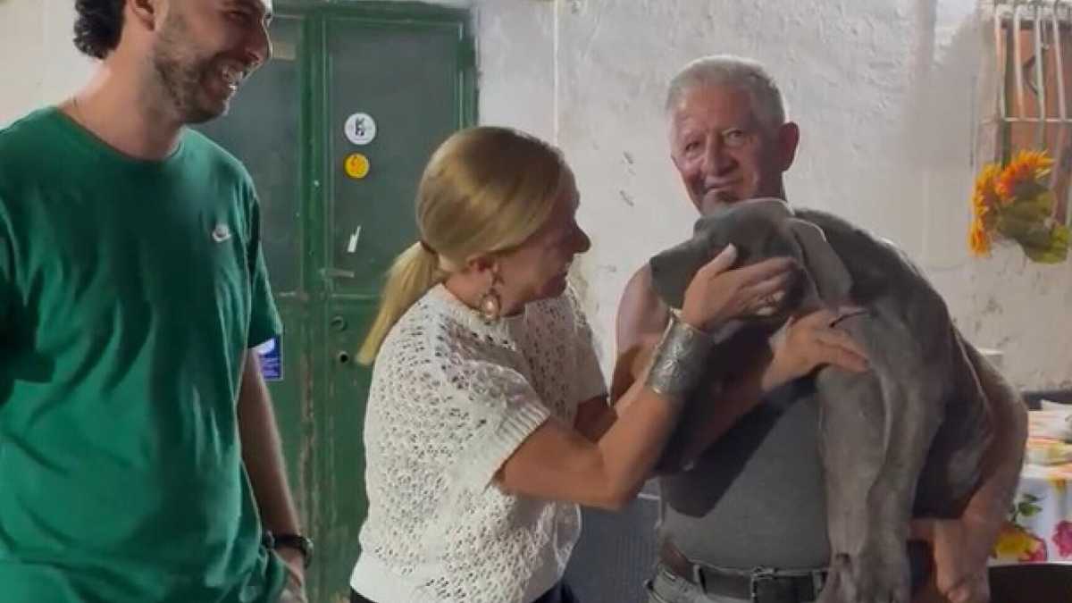 Immagine di Altro che regionali. Meloni nel trullo è inseguita da Ucraina, Israele e dazi
