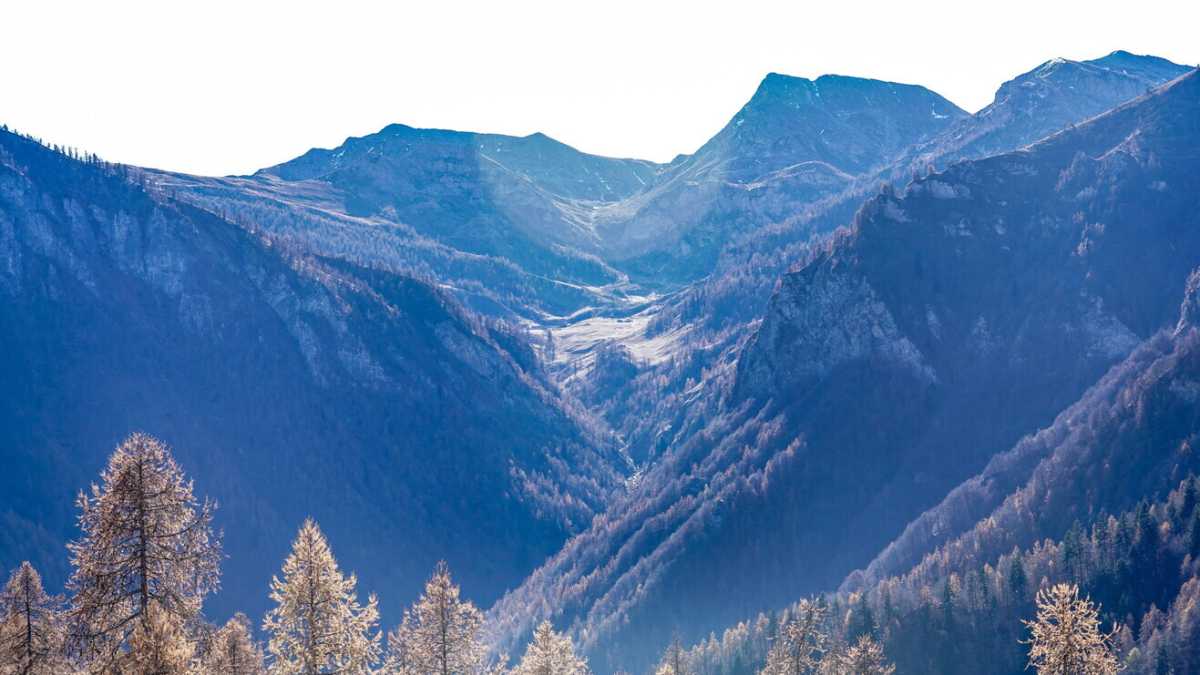 Immagine di Il neocolonialismo degli ambientalisti