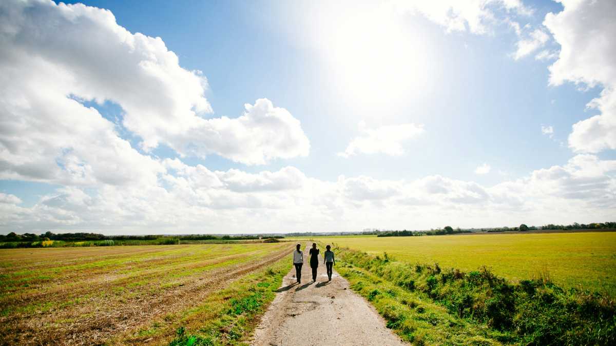Immagine di L’inesauribile bellezza di ciò che è noto e familiare