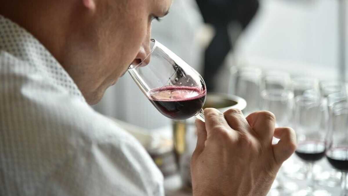 Immagine di Il Lambrusco Ancestrale che piace alla sinistra, unico nettare degno di me, conservatore solitario