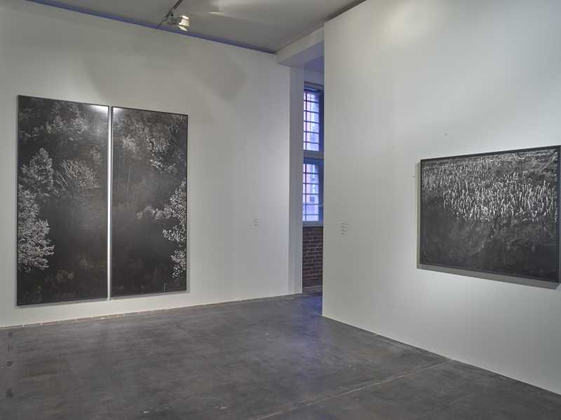 A view of Awoiska van der Molen's photography art work seen during the 'Deutsche Boerse Photography Foundation Prize 2017 (foto Getty)&nbsp;<br />