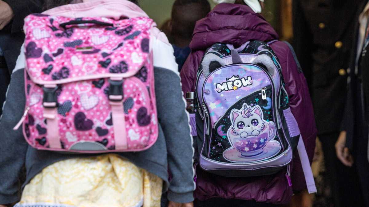 Immagine di Due idee per la scuola