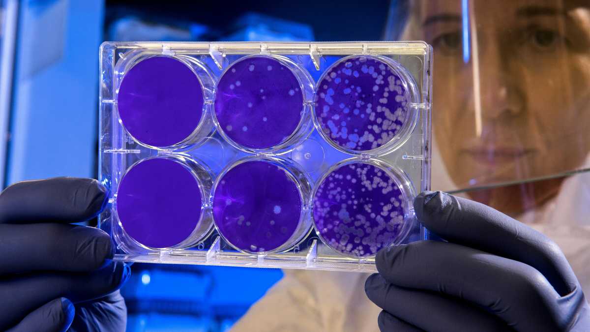 Immagine di Siamo fatti (anche) di virus