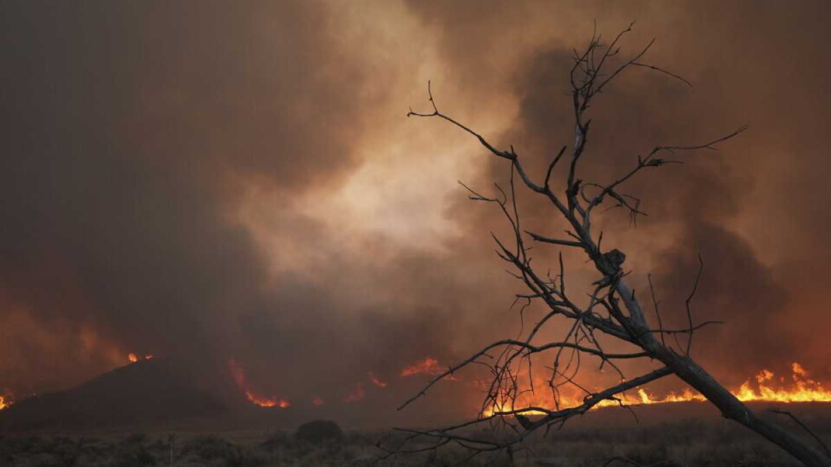 Immagine di Dopo gli incendi Los Angeles sarà solo dei ricchissimi
