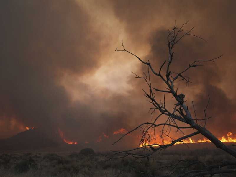 Incendio a Los Angeles (LaPresse)