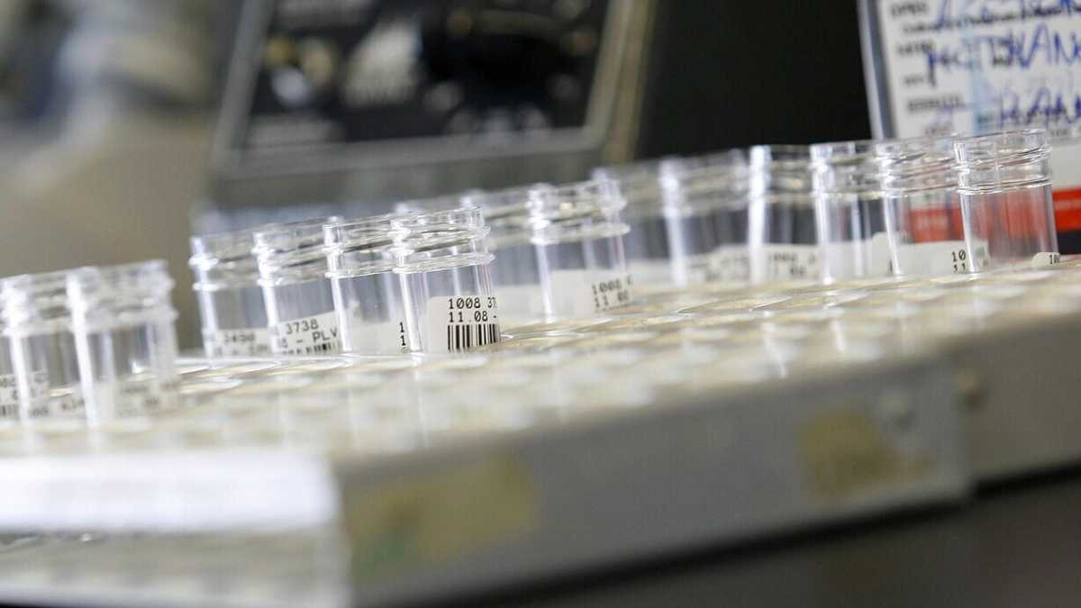 Immagine di Un successo italiano nella sanità