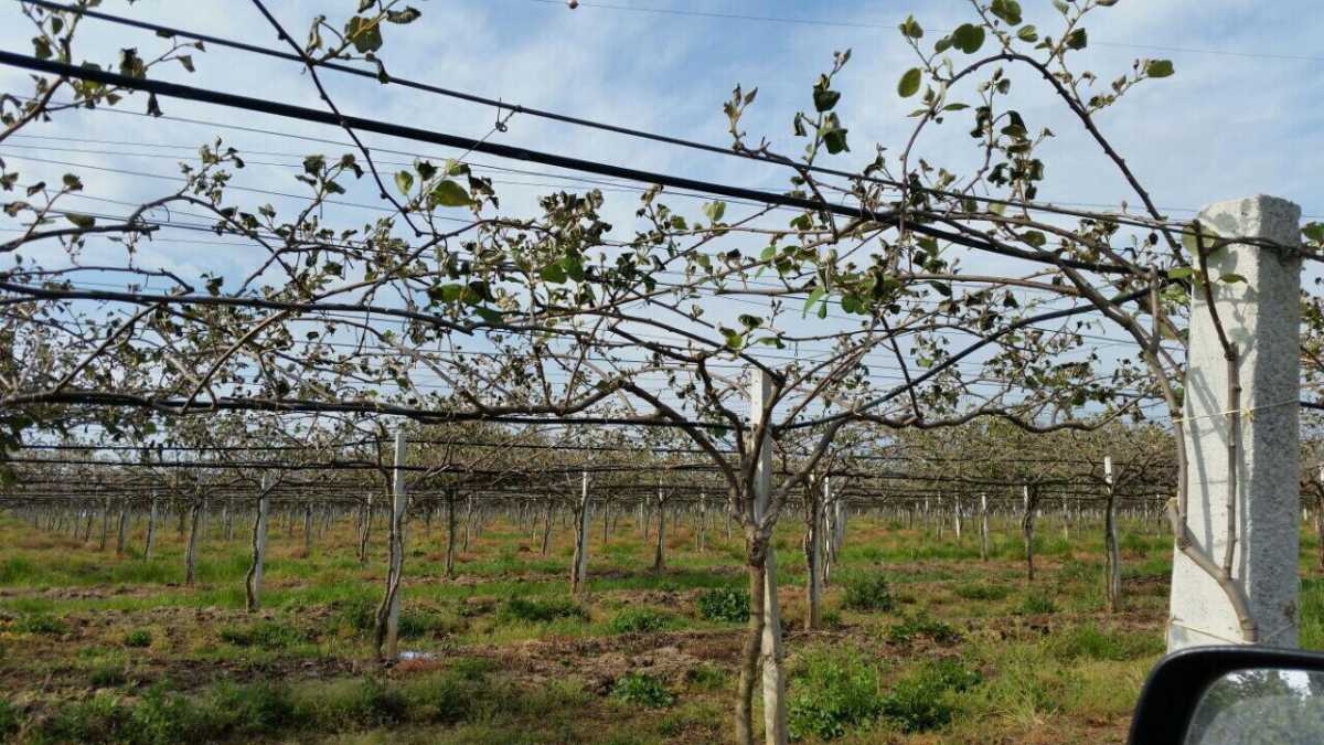 Immagine di Le sagre d'autunno nel Lazio: ecco dove andare