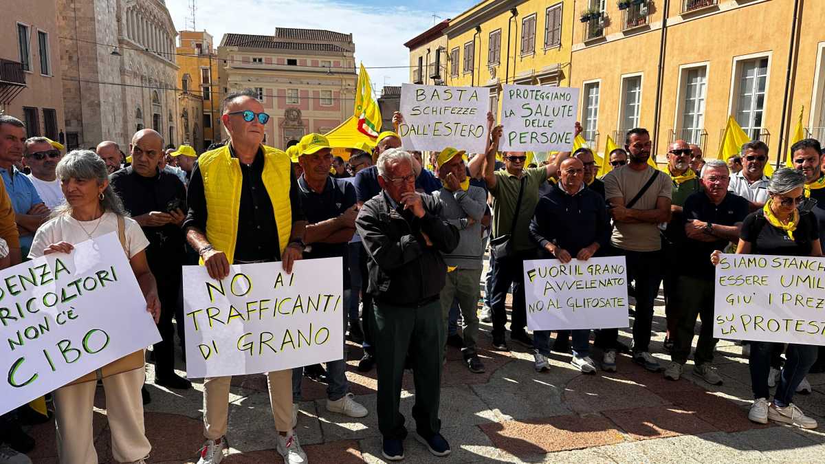 Immagine di Le crisi del grano duro sono cicliche, serve una strategia per il futuro